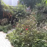 아파트 Tolstov - 1 , 2 And 3 Monteur 뒤스부르크